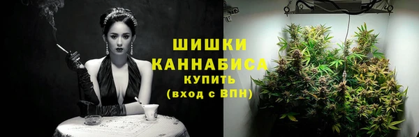 ешки Козловка