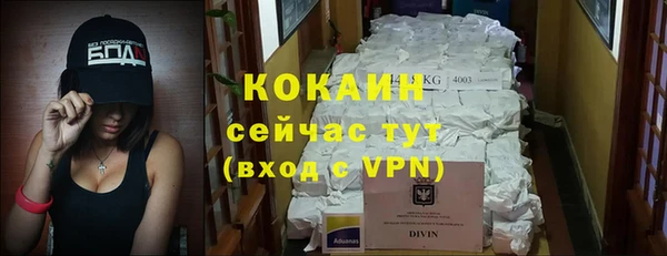 прущие крисы Кодинск